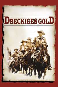 The Train Robbers - Poster