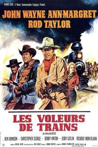 The Train Robbers - Poster
