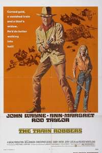 The Train Robbers - Poster