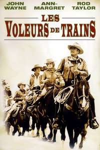 The Train Robbers - Poster