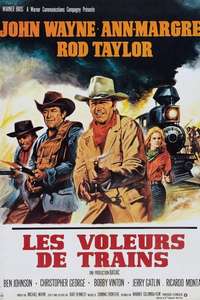 The Train Robbers - Poster