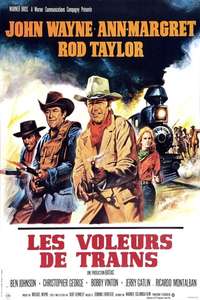 The Train Robbers - Poster
