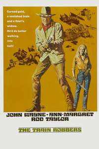 The Train Robbers - Poster