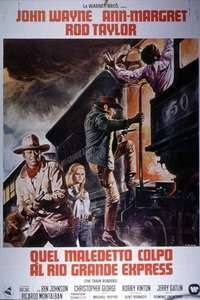 The Train Robbers - Poster