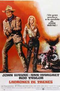 The Train Robbers - Poster