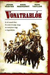 The Train Robbers - Poster