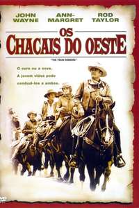 The Train Robbers - Poster