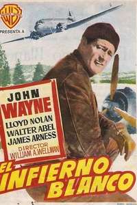 Island in the Sky - Poster