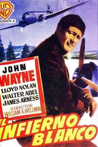 Island in the Sky - Poster