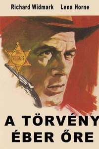 Death of a Gunfighter - Poster