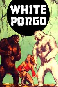White Pongo - Posters