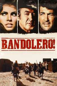 Bandolero! - Poster