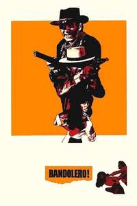 Bandolero! - Poster