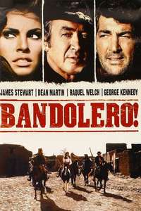 Bandolero! - Poster