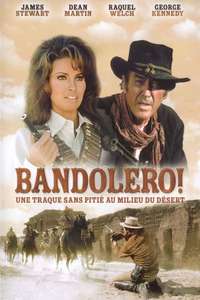 Bandolero! - Poster