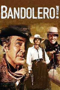Bandolero! - Poster