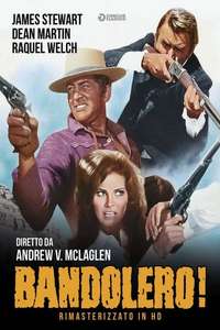 Bandolero! - Poster