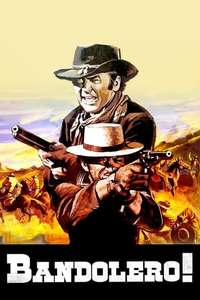 Bandolero! - Poster