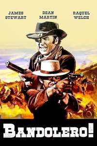 Bandolero! - Poster