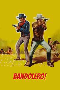 Bandolero! - Poster