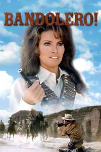 Bandolero! - Poster