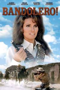 Bandolero! - Poster