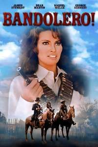 Bandolero! - Poster