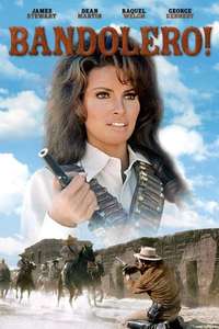 Bandolero! - Poster
