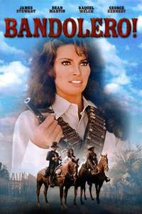 Bandolero! - Poster