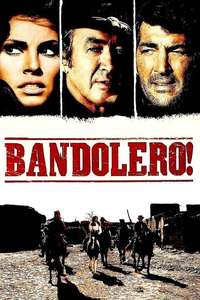 Bandolero! - Poster