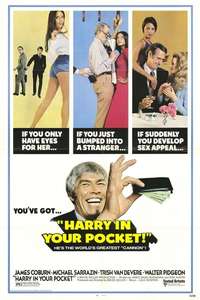 Harry in Your Pocket - Posters