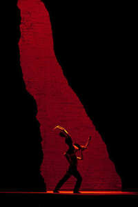 Carmen - Met Opera Live - Poster