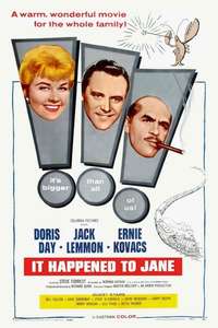 It Happened to Jane - Poster