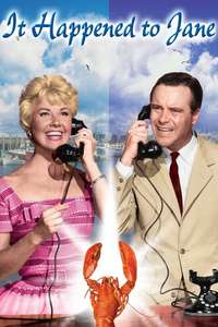 It Happened to Jane - Poster