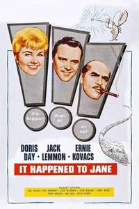 It Happened to Jane - Poster