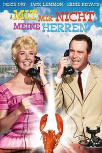 It Happened to Jane - Poster