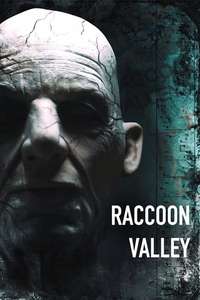 Raccoon Valley - Poster