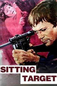 Sitting Target - Poster