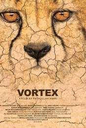 Vortex