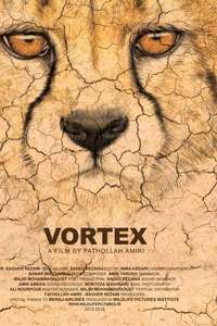 Vortex - Poster