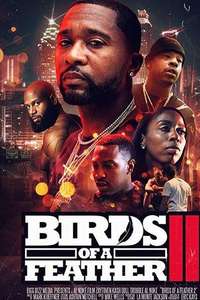 Birds of a Feather 2 - Poster