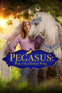 Pegasus: Pony With a Broken Wing - Poster