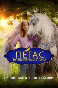 Pegasus: Pony With a Broken Wing - Poster