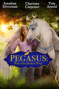 Pegasus: Pony With a Broken Wing - Poster