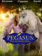 Pegasus: Pony With a Broken Wing