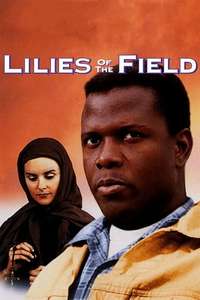 Lilies of the Field - Poster