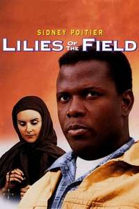 Lilies of the Field - Poster