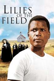 Lilies of the Field
