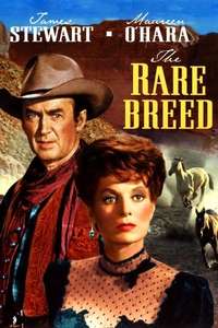 The Rare Breed - Poster