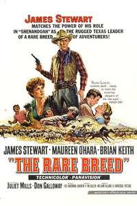 The Rare Breed - Poster